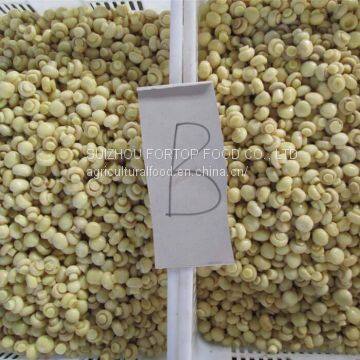 Factory Price Premium Brined Mushroom Whole in Drum