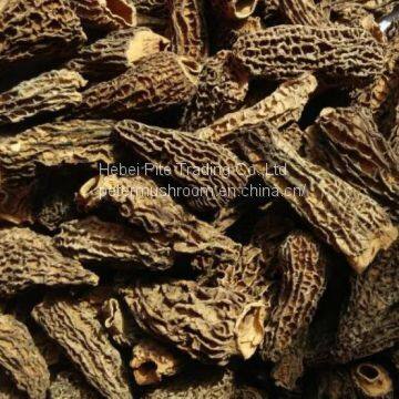 Dried Morchella Esculenta