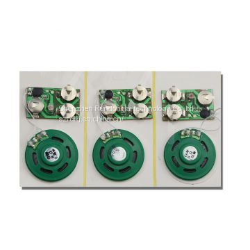 customize sound chip for greeting card