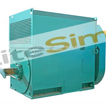 IC611 60hz 6.3kv simo motor made in china