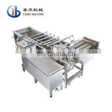 QX-4-800 High Output Papaya Washing Machine Citrius Washing Machine Lemon Washing Machine