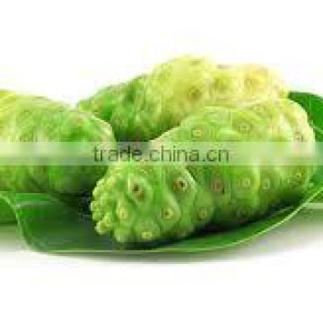 Tasty and Healthy Noni powder exporters