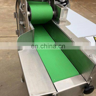 Carrot Onion Fruit Vegetable Processing Machines Parsley Chopping Machine photo-4