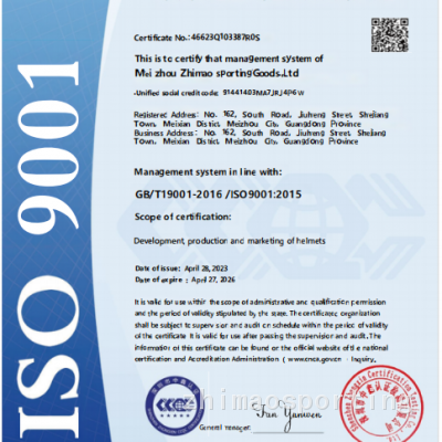 ISO 9001
