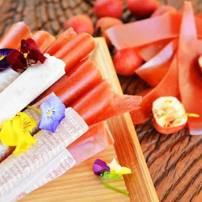 Food Process Equipment Fruit Leather Roll up Making Machine for Sale