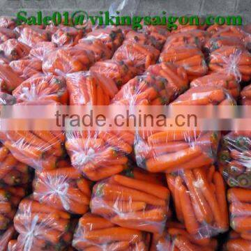 FRESH CARROT GOOD QUALITY FROM VIET NAM photo-4