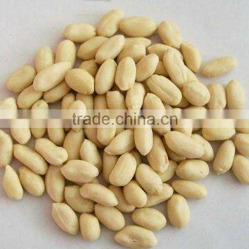Shandong New Crop blanched peanut