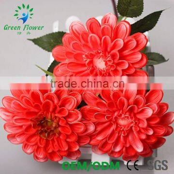 Greenflower 2016 Barberton Daisy Real Touch Chinese Herbaceous Peony Wedding Decrations Flowers photo-6
