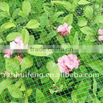 Garden net/Bird nets/Anti bird nets