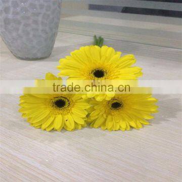 Fresh Cut Flower Of Stem 45-60 cm Gerbera Popular Wholesale photo-4