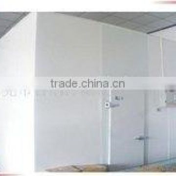 Low temperature application high speed cold storage swing door