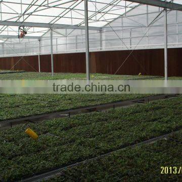 Anti-fog and UV-protection 100% virgin material polycarbonate Green house