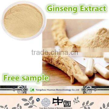 Professional manufacturer major nutrition plant extract panax Ginseng Root Extract