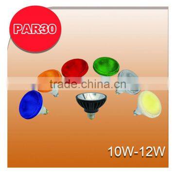 PAR30 LED Bulb