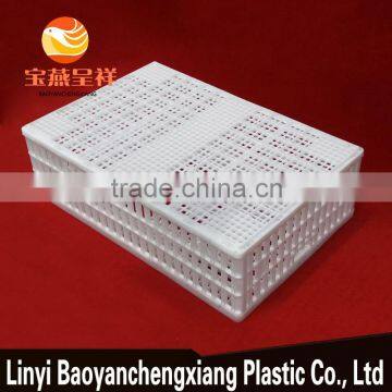 New Product Plastic Sales Small Chicken Coop Professional Designs photo-2