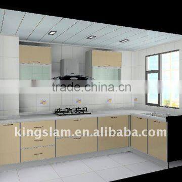 2011 exclusive kitchen cabinets