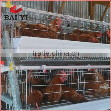 Commercial Layer Breeding Cages in Africa Farm