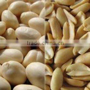Food Machinery Peanut Roasting Blanching Production Line photo-6