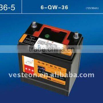 Professional Auto Battery (VDB0155)