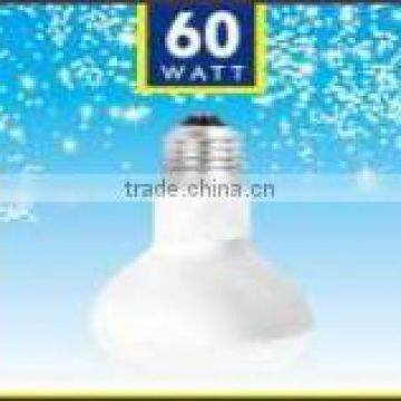 R80 60W E27 Frosted Lamps