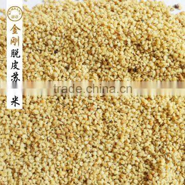 Delicious Chinese High Quality Peeling Perilla Seed photo-2