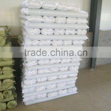 Nylon Insect Screen/plastic Window Screen/plastic Screen Mesh for Window Factory Price photo-6