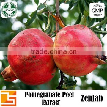 pomegranate peel plant extract for pomegranate peel extraction