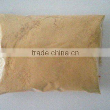 Ginseng Plant Extract 2% Ginsenosides