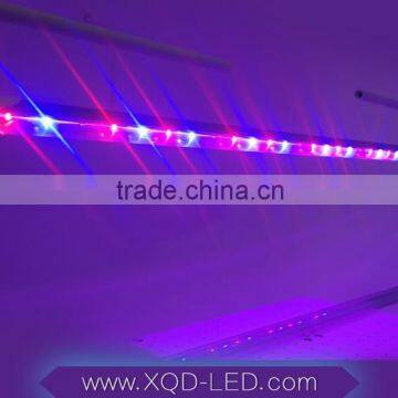 XQD 12W Led Grow Light Tube