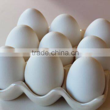 White Eggs Manufacturer