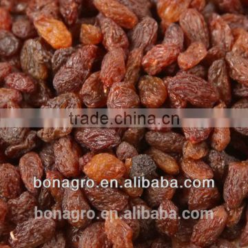 Chinese red raisin,sultana