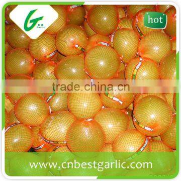Fresh Sweet Honey Pomelo in Box photo-2