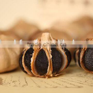 Black Garlic Fresh Garlic