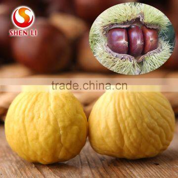 Fresh Chestnut
