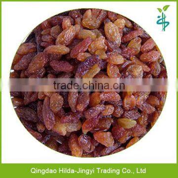Dried Fruits Wholesale Red Raisin