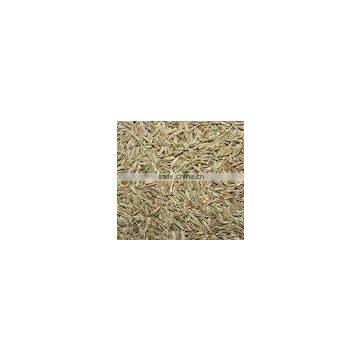 Cumin Seeds