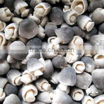 IQF STRAW MUSHROOMS