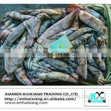 Price of fresh squid