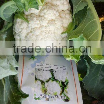 Beauty F1 Hybrid Cauliflower Seeds