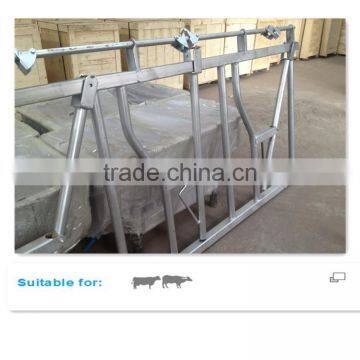 Galvanized Steel Pipe Cow Healock for 8 Cows Locking