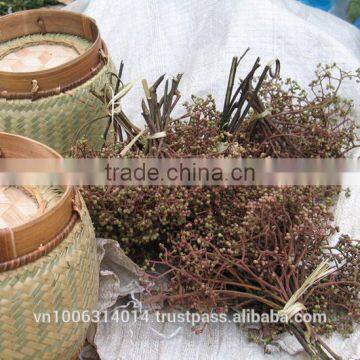 Zanthoxylum Rhetsa/Mac Khen photo-3