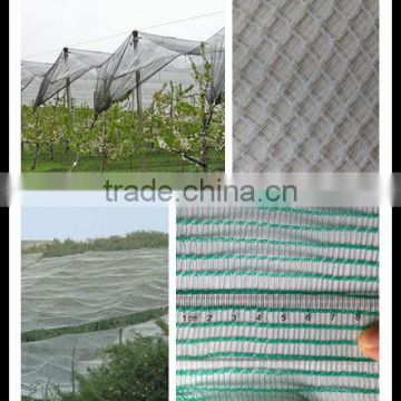 Drawing Plastic Modling Type fruit tree anti hail net, tela antigranizo,contro la grandine rete