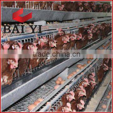 Electric Galvanized Welded Wire Chicken Cages with using life more than 15 years