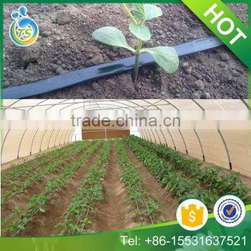 TS irrigation build the small scale irrigation greenhouse system