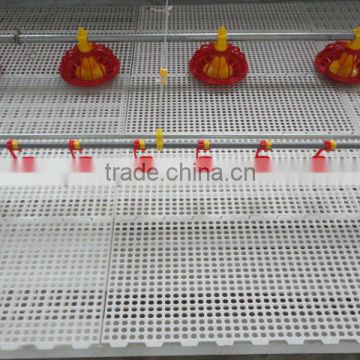 broiler chicken feeding system