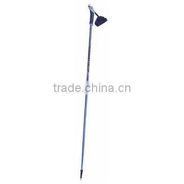 Nordic Walking Stick