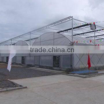 Greenhouses for agriculture