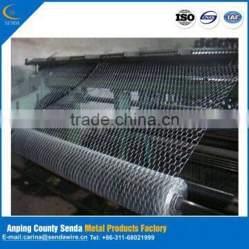 /Hot Sale Chicken Wire Netting/ Hexagonal Wire Netting/ Poultry Mesh/lowest Price/highest Quality photo-6