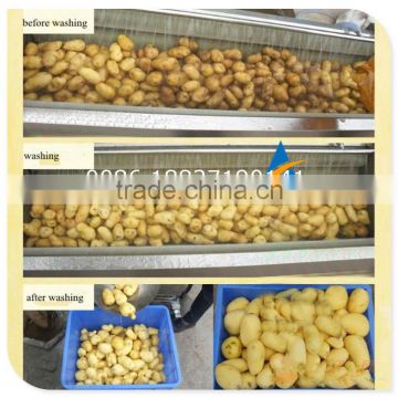 Industrial Brush Type Vegetable and Fruit Washing Machine photo-2
