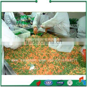 IQF Blast Freezing Vegetable Freezing Machine Quick Freezer photo-2